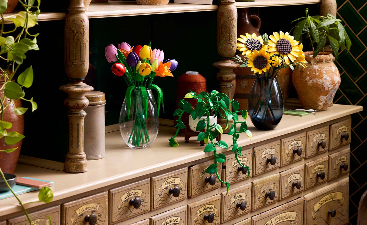 LEGO Botanicals Hanging Golden Pothos | 11512