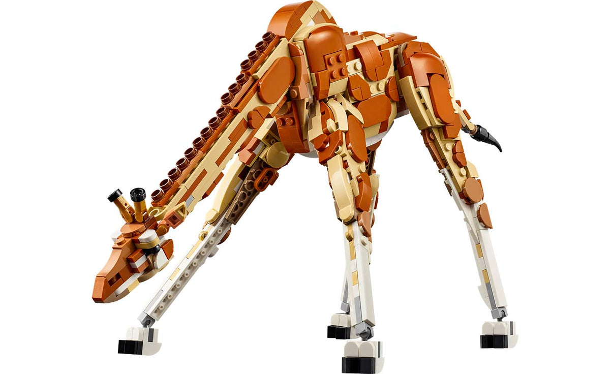 LEGO Creator 3-in-1 Wild Safari Animals | 31150
