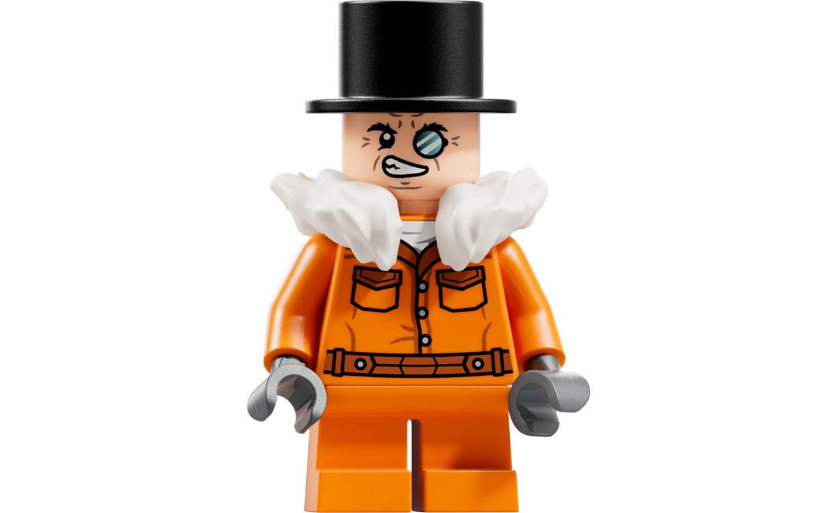 LEGO DC Arkham Asylum | 76300