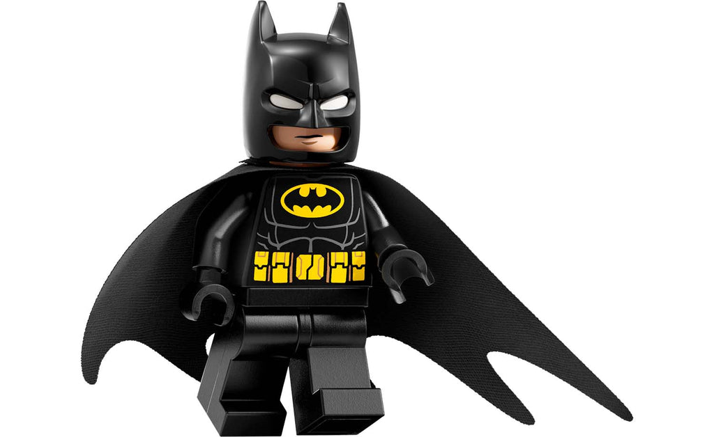 LEGO DC Arkham Asylum | 76300